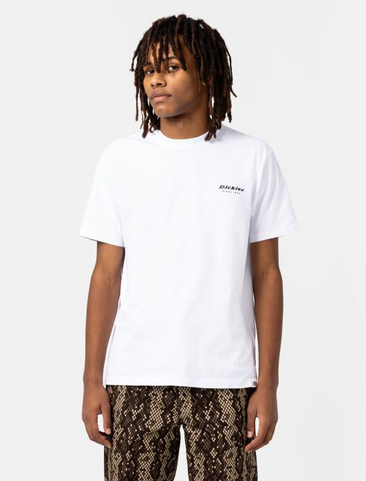 [DICKIES] T-shirts Short Sleeve FW22 DK0A4Y1HWHX1