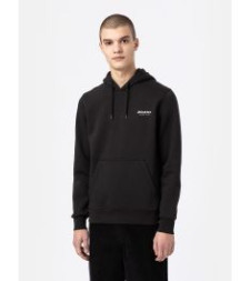 [DICKIES] Hoodie FW22 DK0A4XYSBLK1