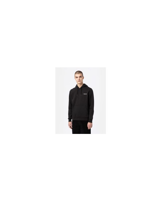 [DICKIES] Hoodie FW22 DK0A4XYSBLK1