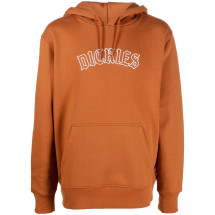 [DICKIES] Hoodie FW22 DK0A4XYRIEX1