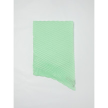 [Emporio Armani] Scarf FW25 EW001866AF15675 U9071