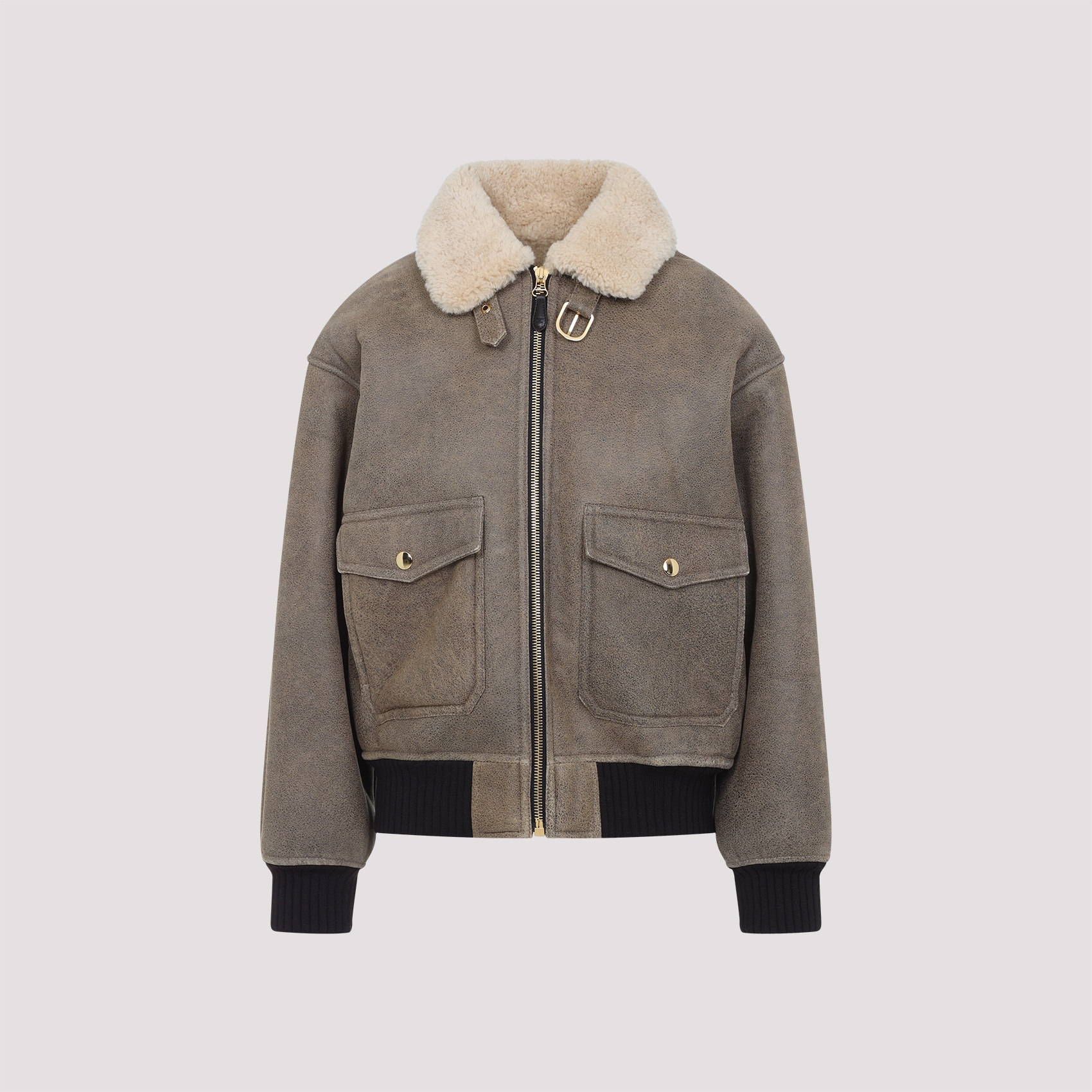 [Celine] Leather Jacket FW25 2EB60674R