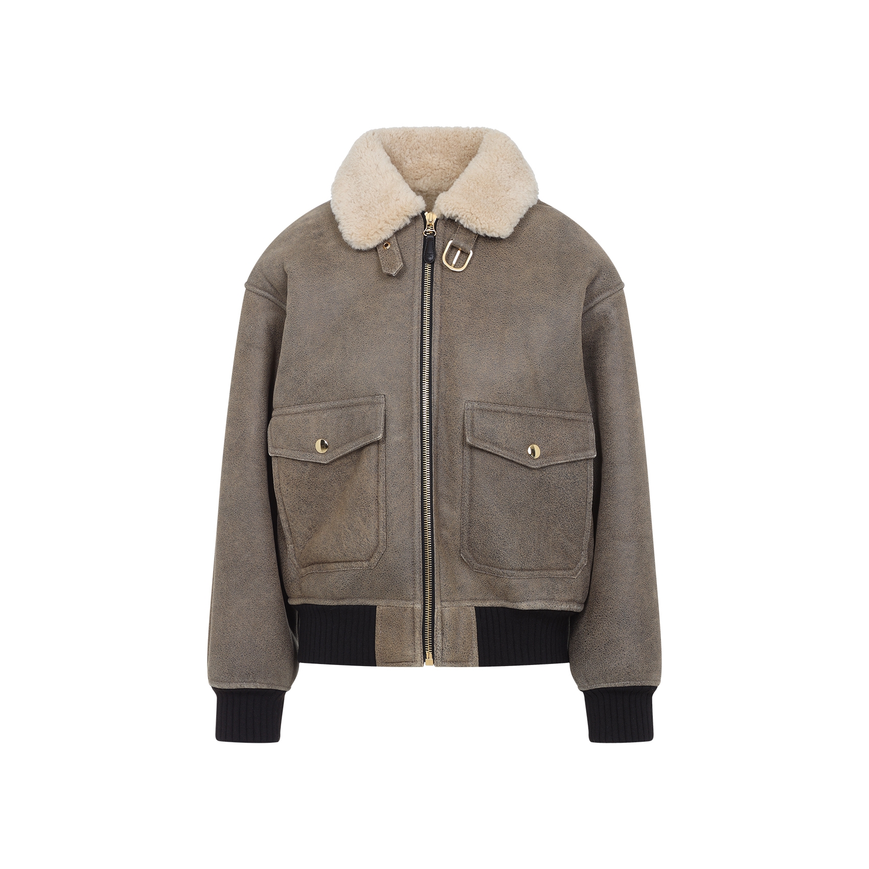 [Celine] Leather Jacket FW25 2EB60674R