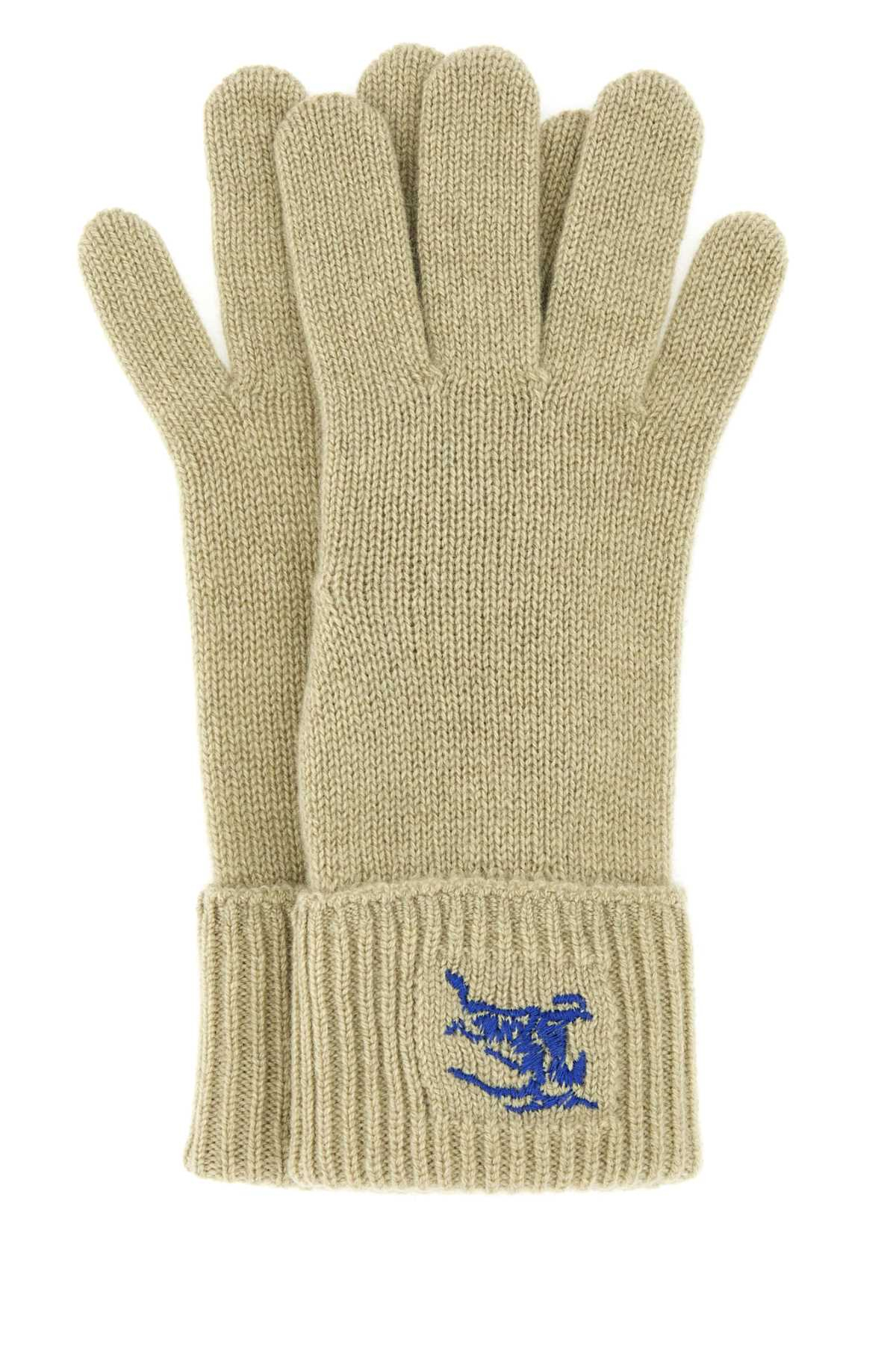 [Burberry] Glove FW23 8078828 B7311