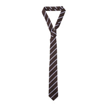 [THE FRANKIE SHOP] Fashion Accessory FW25 NTFS21170200BROWN BLUE
