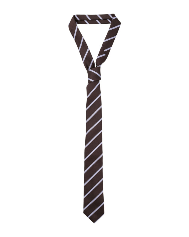 [THE FRANKIE SHOP] Fashion Accessory FW25 NTFS21170200BROWN BLUE