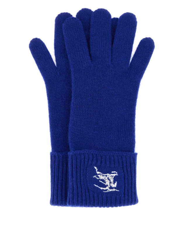 [Burberry] Glove FW23 8078831 B7323