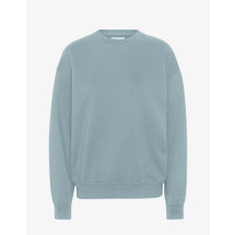 [Colorful Standard] Sweatshirt FW22 CS1012
