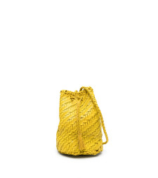 Bag Dragon Diffusion