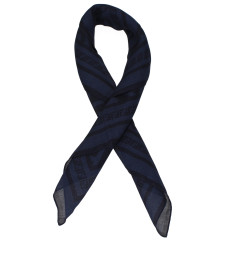 [Fendi] Scarf SS26 FXS384AWU0F0ZNZ