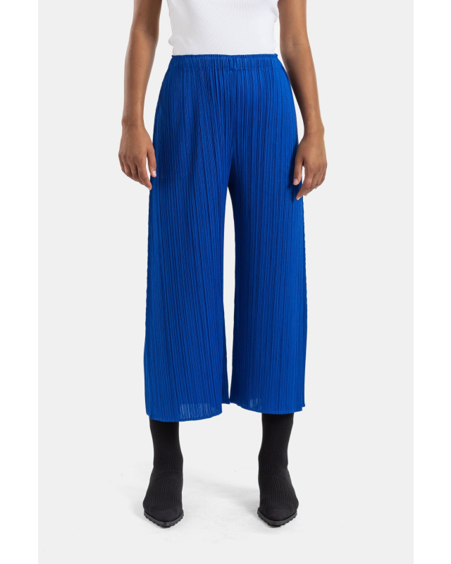[PLEATS PLEASE ISSEY MIYAKE] Trousers FW26 PP68JF115