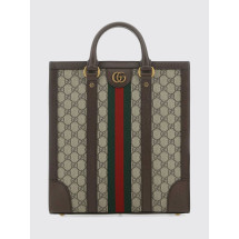 [Gucci] Shoulder bag FW26 7246859C2ST 8746