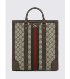 [Gucci] Shoulder bag FW26 7246859C2ST 8746