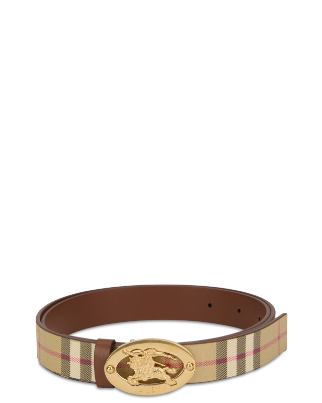 Belt with golden buckle
