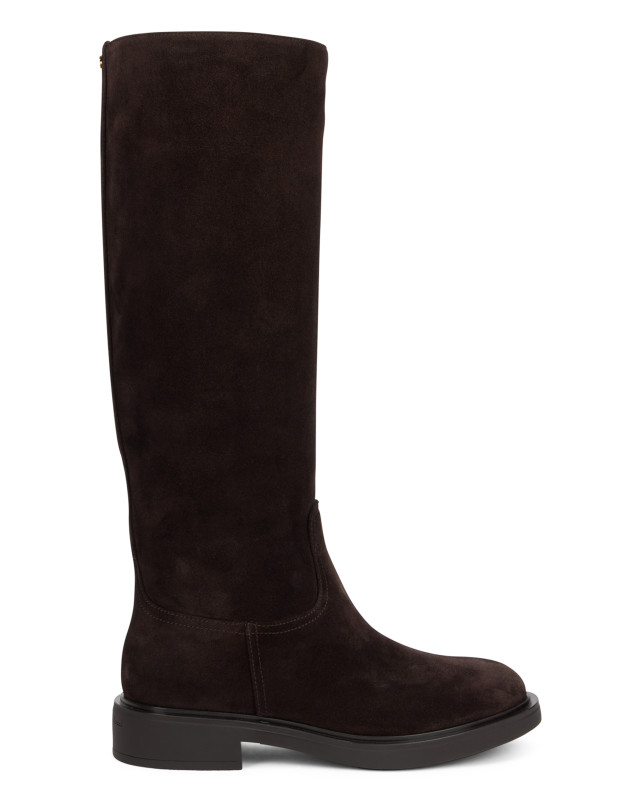 Ascott boots in suede