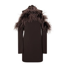 Dress with feathers