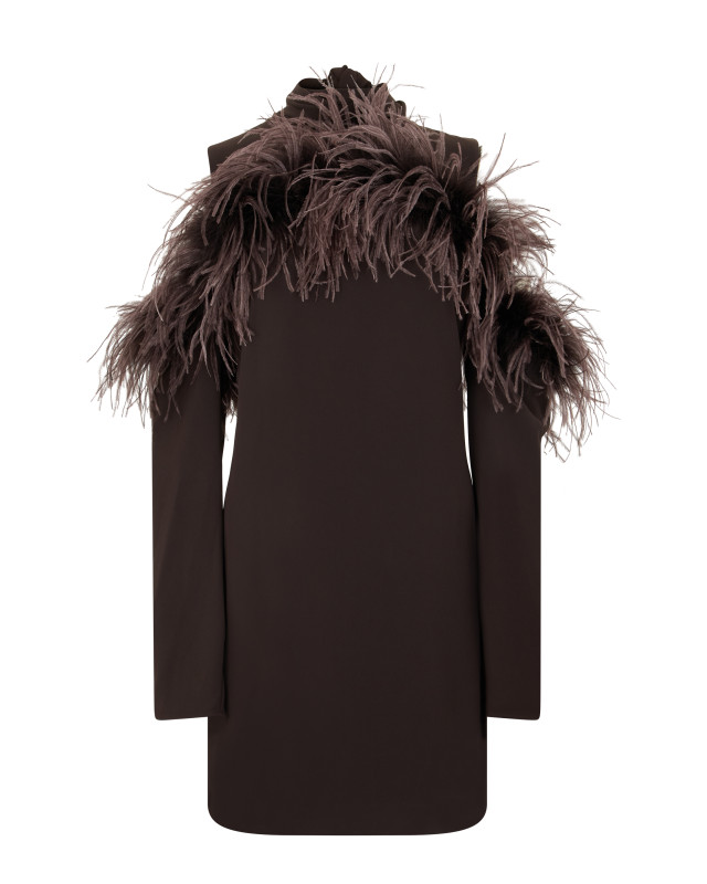 Dress with feathers