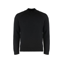Sweater with crew neck in virgin wool