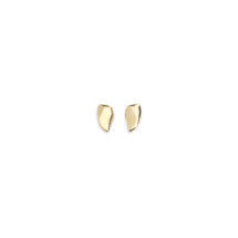 Geometric gold Earrings