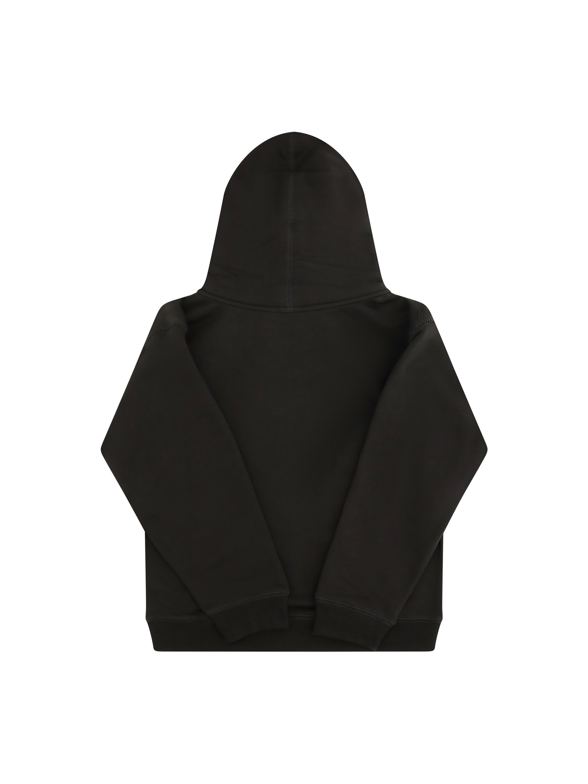Cotton Hooded Sweatshirt with print for Boy