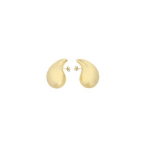 Drop Earrings