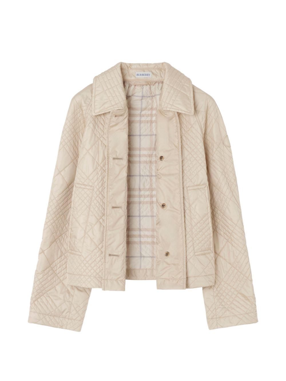 BURBERRY 8123878 C2246