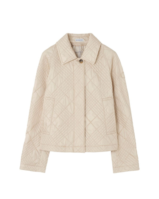 BURBERRY 8123878 C2246