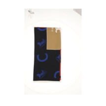 CELINE 2AW902R45 GGT3