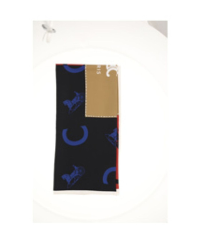 CELINE 2AW902R45 GGT3