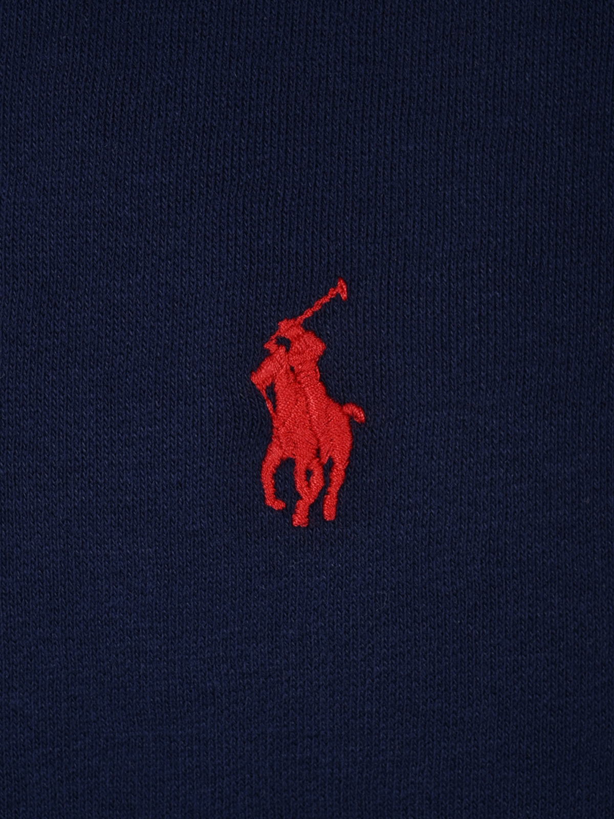[Polo Ralph Lauren] Sweatshirt FW26 710766772003