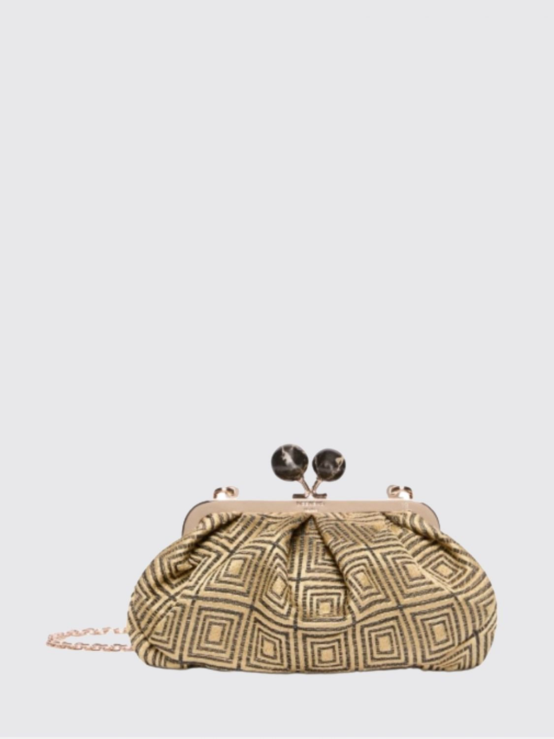 [WEEKEND MAX MARA] Minibag FW26 2625516184600 004