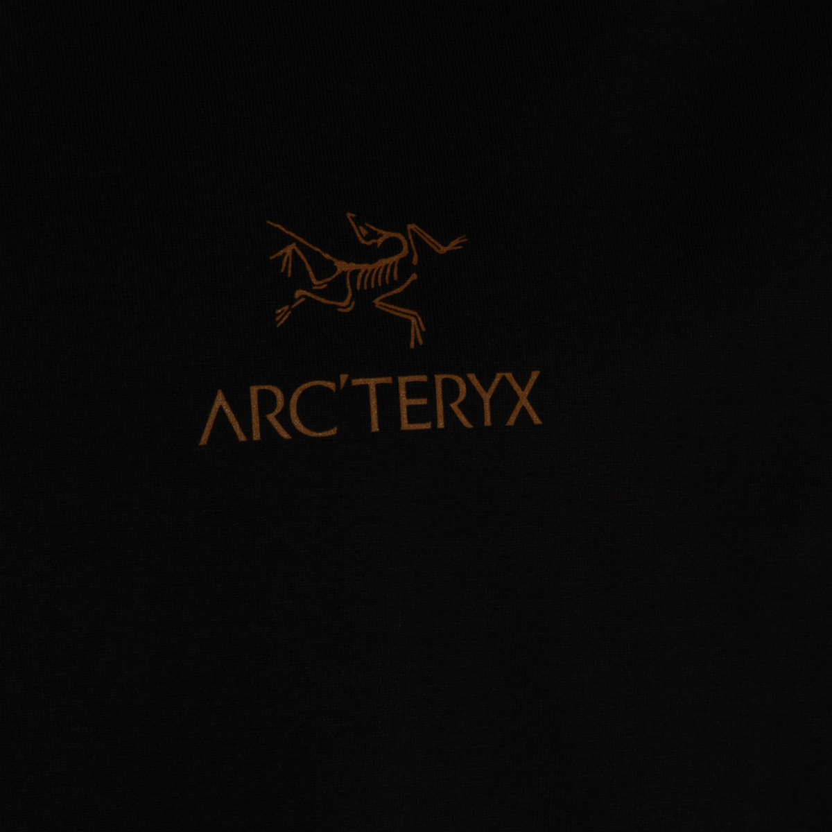 [ARC'TERYX] T-shirts Short Sleeve FW26 X00000953524K BLACK