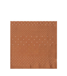 [Destin] Scarf FW26 JUDYRANDOM VICUNA
