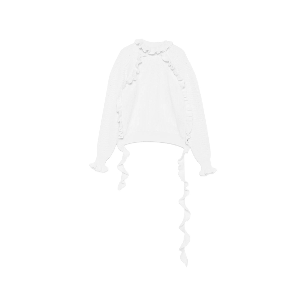 [BLUMARINE] Knitwear FW26 2M725A  X0817