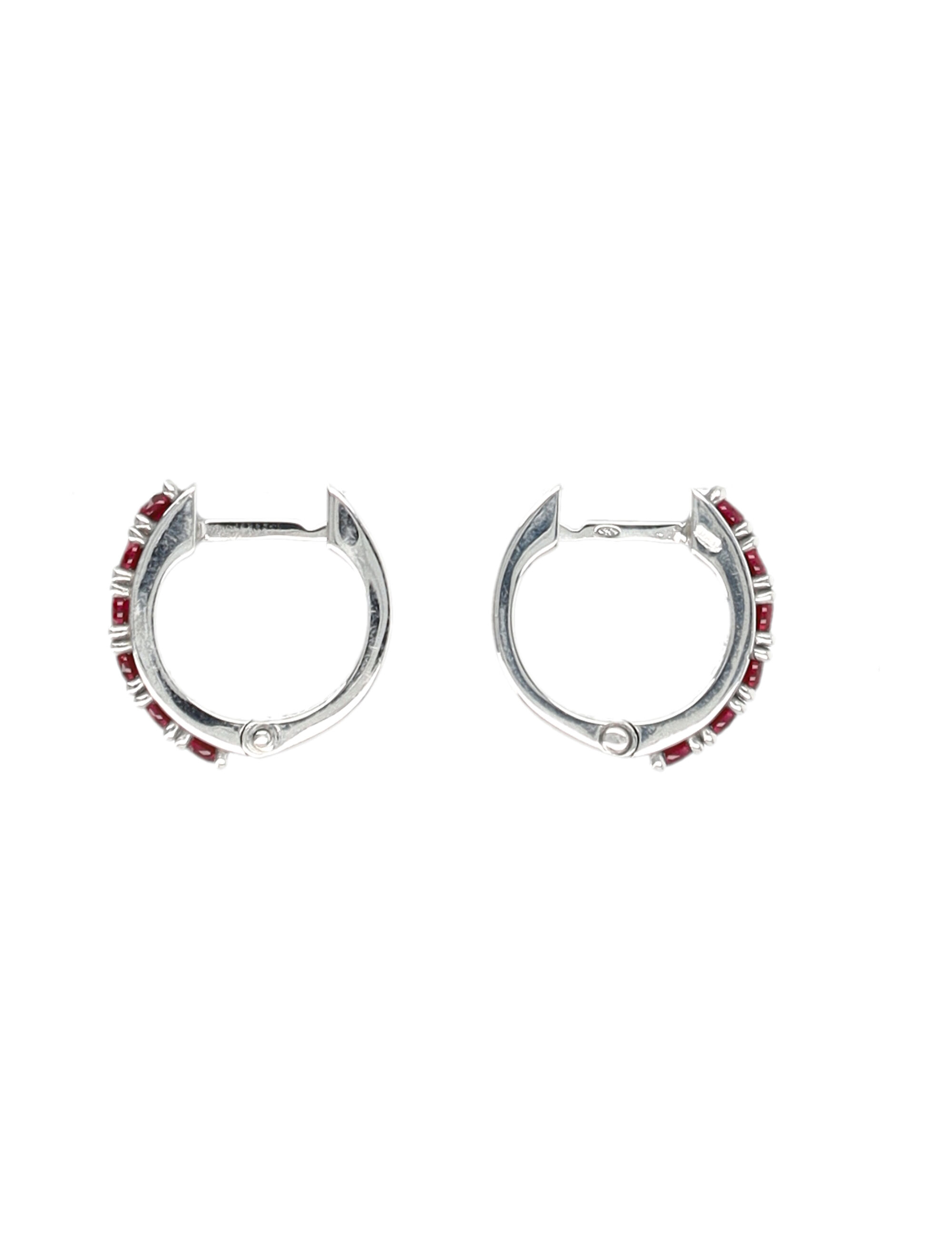[EMANUELE BICOCCHI] Other Accessory FW26 CDLE1CSILVERRUBY
