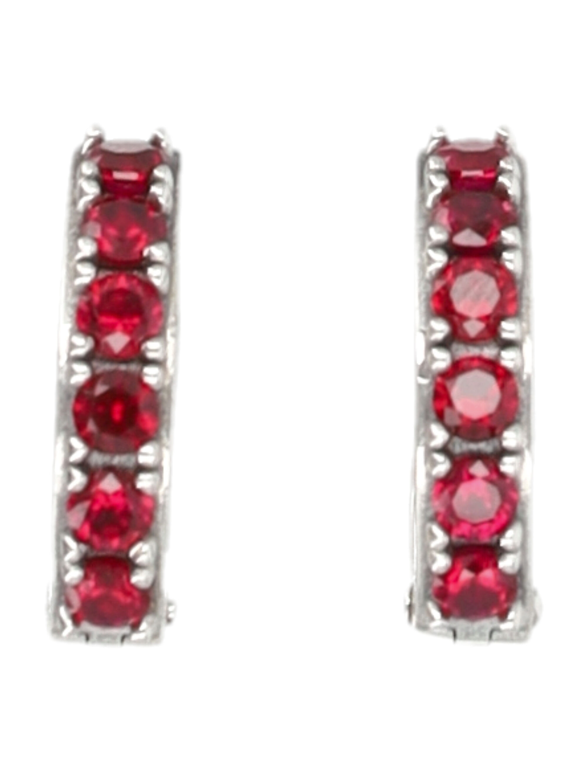 [EMANUELE BICOCCHI] Other Accessory FW26 CDLE1CSILVERRUBY