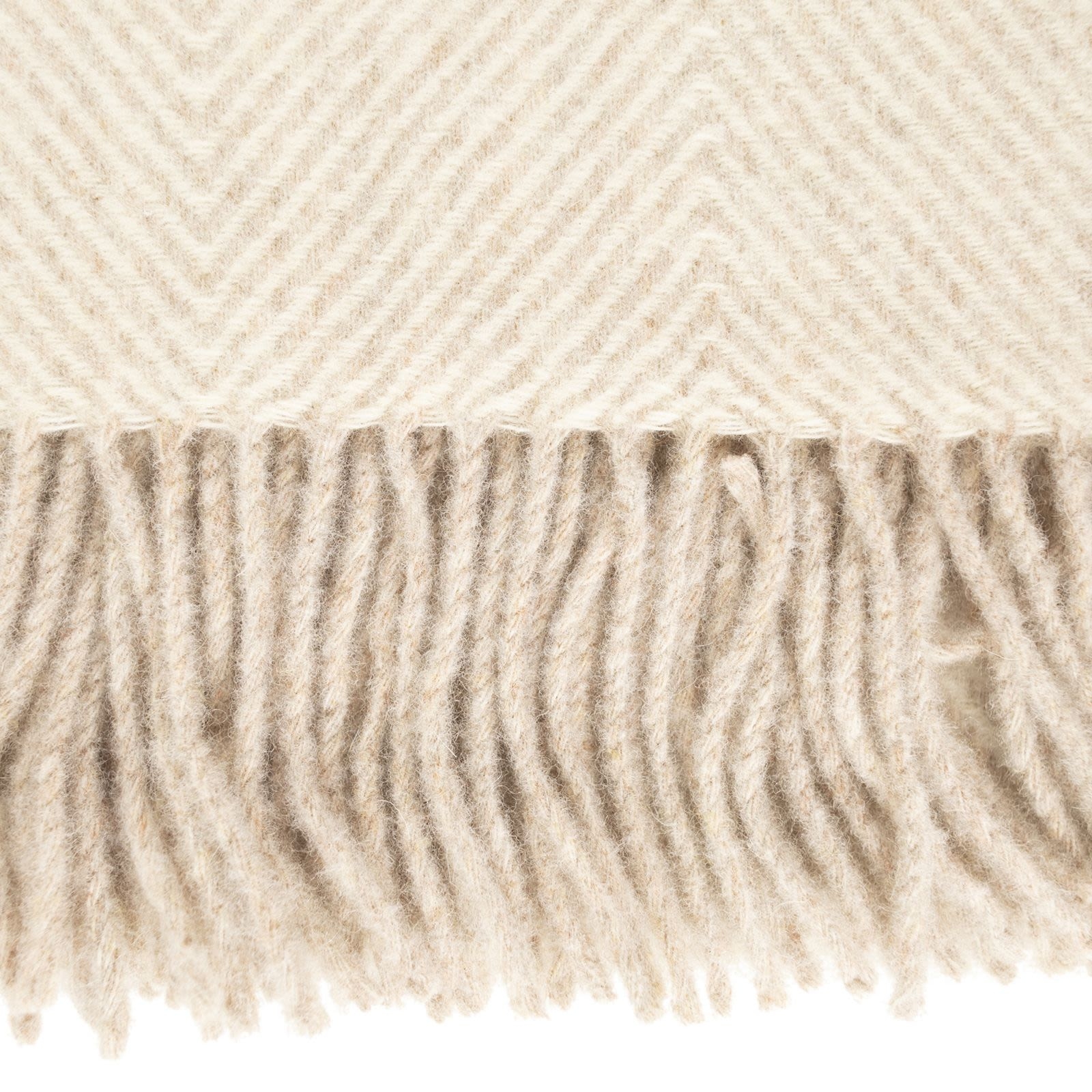 [Fabiana Filippi] Scarf FW26 SAD226A963M580 VR1