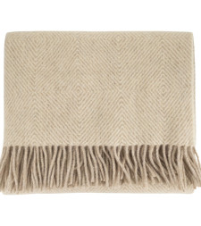 [Fabiana Filippi] Scarf FW26 SAD226A963M580 VR1
