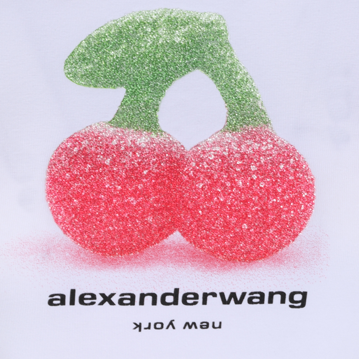 [ALEXANDER WANG] T-shirts Short Sleeve FW26 1CC4261381100