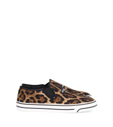 [Dolce & Gabbana] Sneakers CO CS2428A0570HY13M