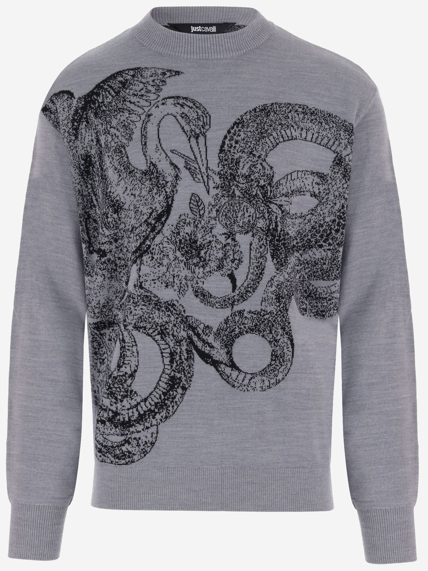 [Just Cavalli] Knitwear FW26 81OAFM09CMN78827