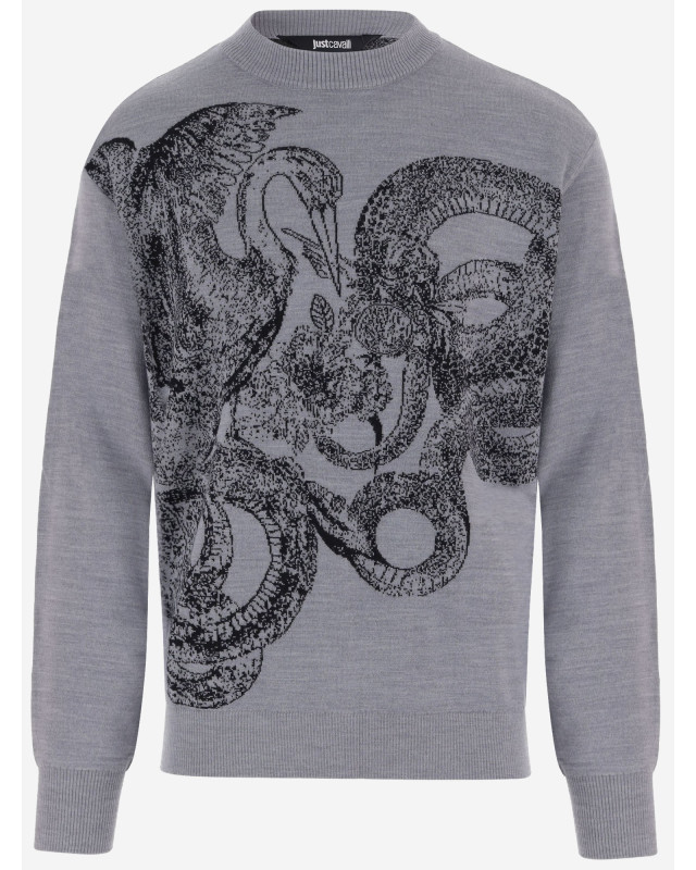 [Just Cavalli] Knitwear FW26 81OAFM09CMN78827