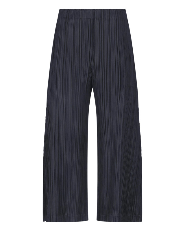 [Issey Miyake] Pants FW26 PP68JF37215
