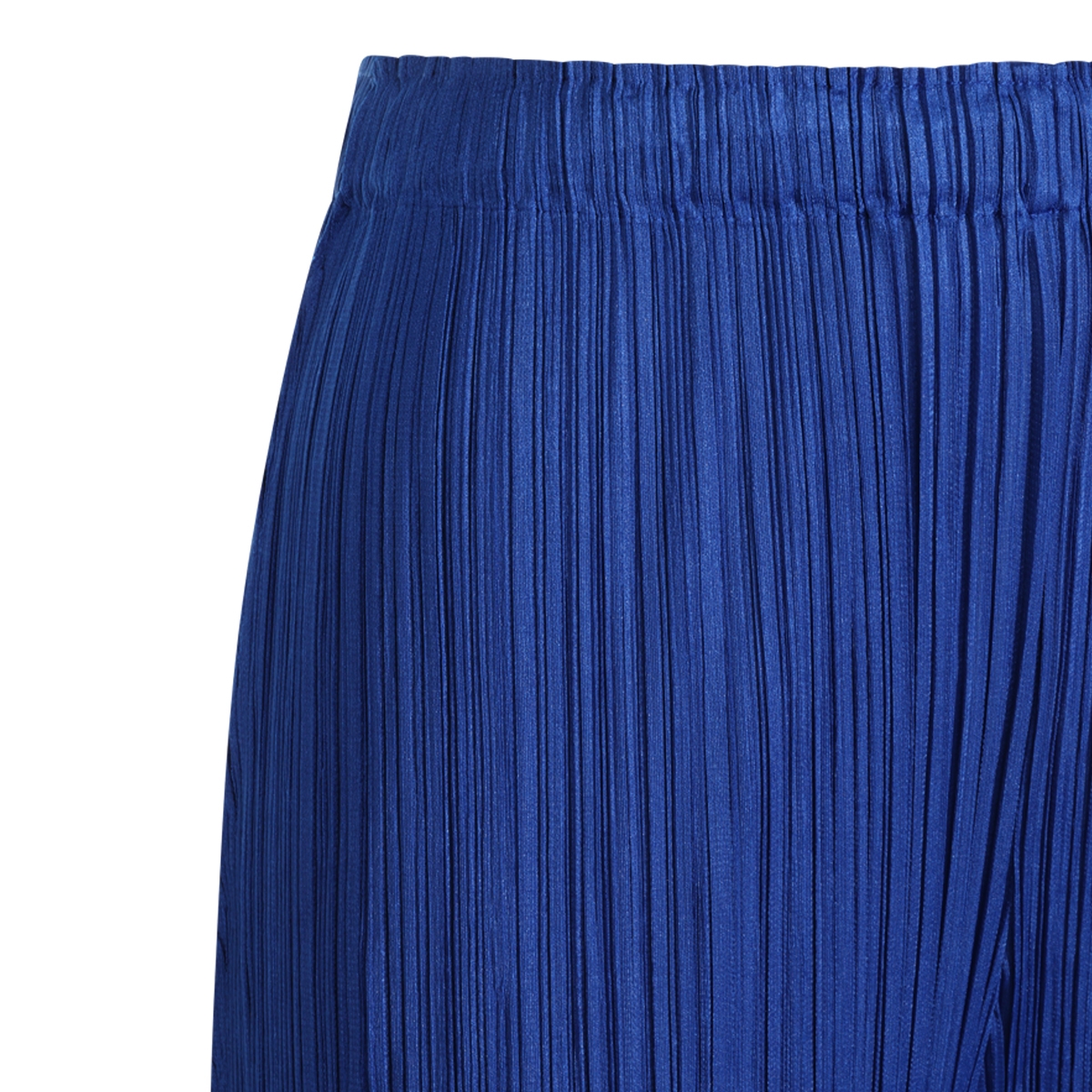 [Issey Miyake] Pants FW26 PP68JF11572