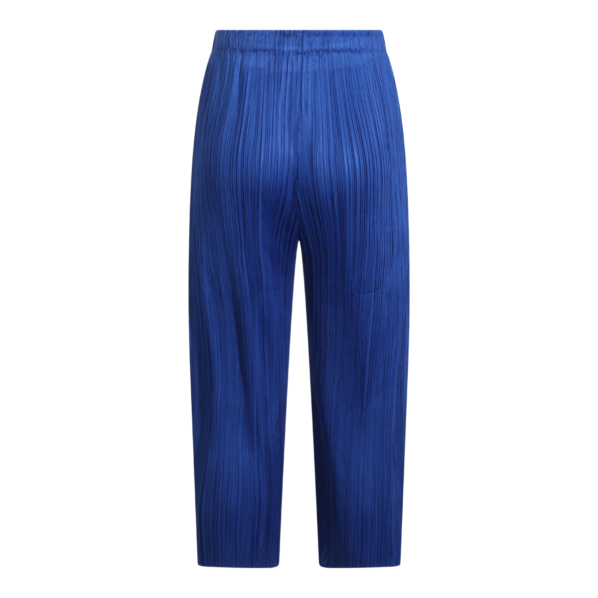 [Issey Miyake] Pants FW26 PP68JF11572