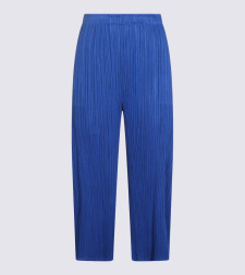 [Issey Miyake] Pants FW26 PP68JF11572