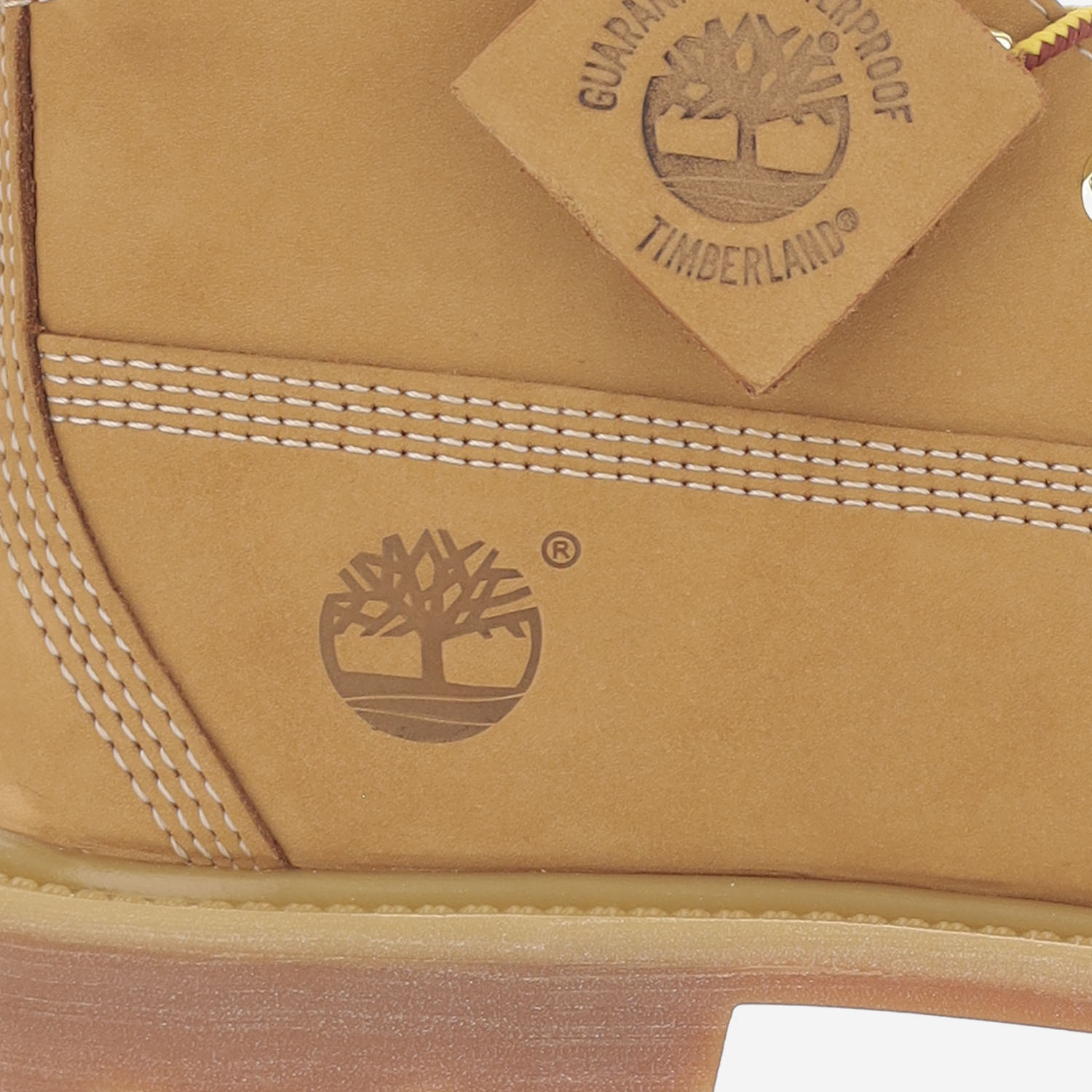 [Timberland] Ankle Boots FW26 TB1103617131