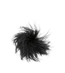 [Gianluca Capannolo] Brooch FW26 26IC700 500F BLACK