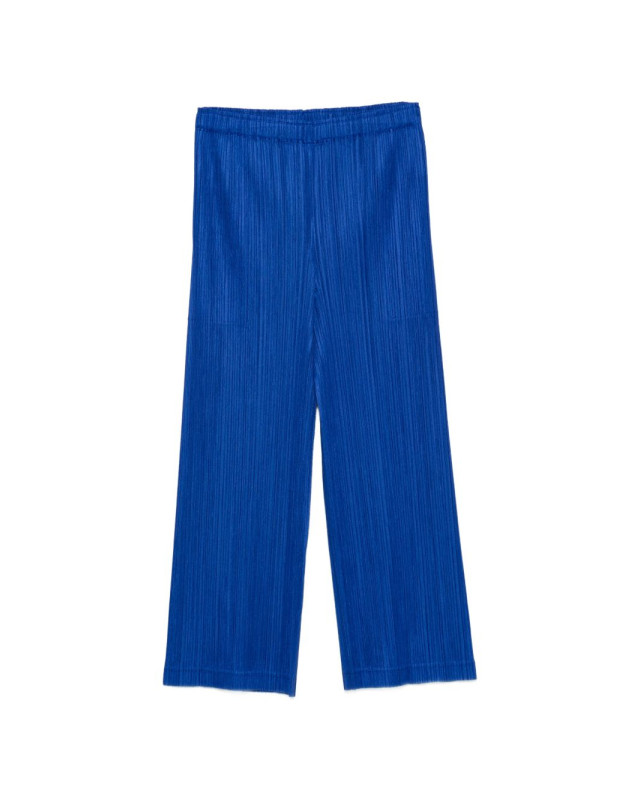 [Pleats Please] Trousers FW26 PP68JF37172