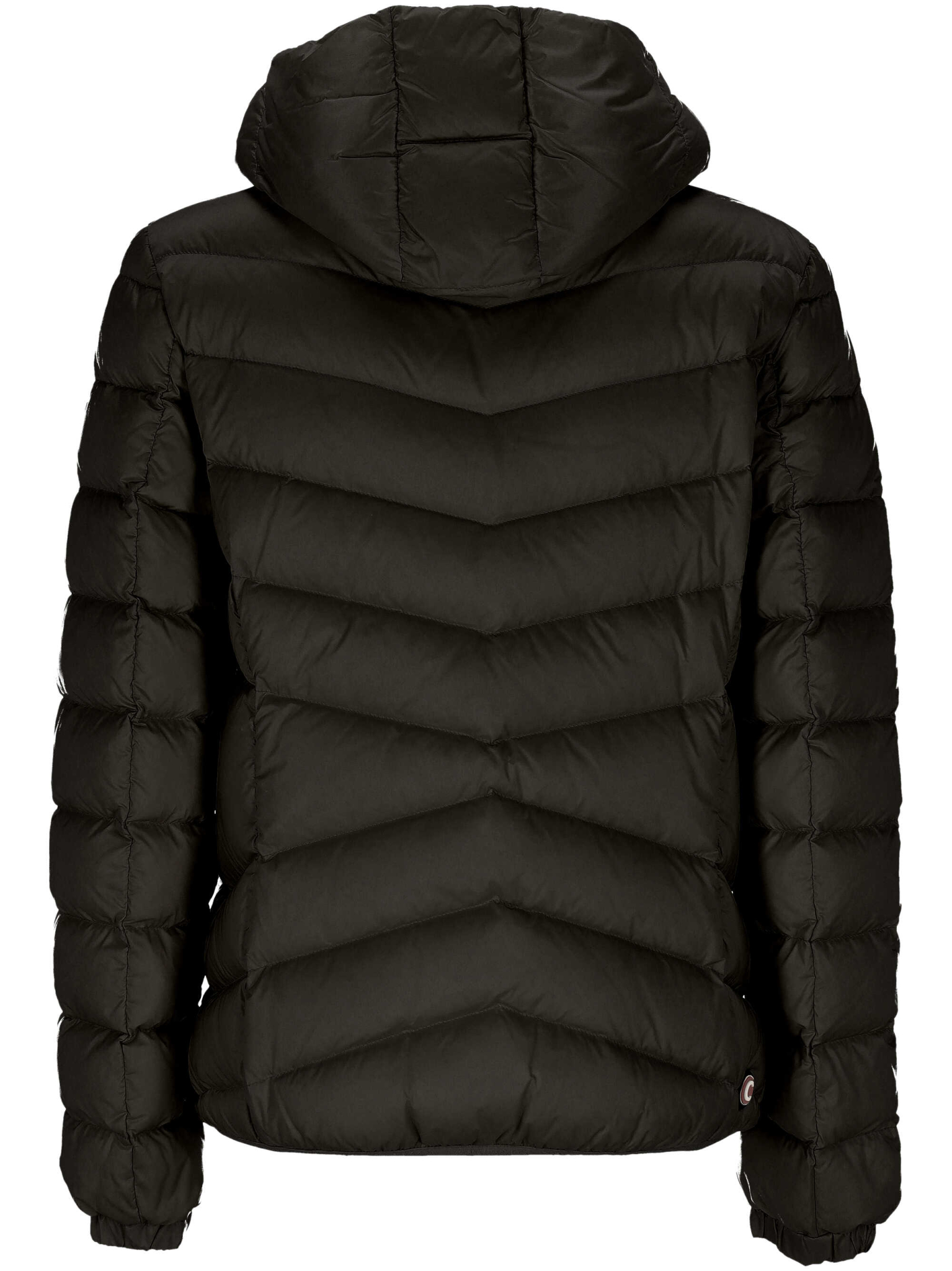 [colmar] Down jacket FW26 220000192YO99